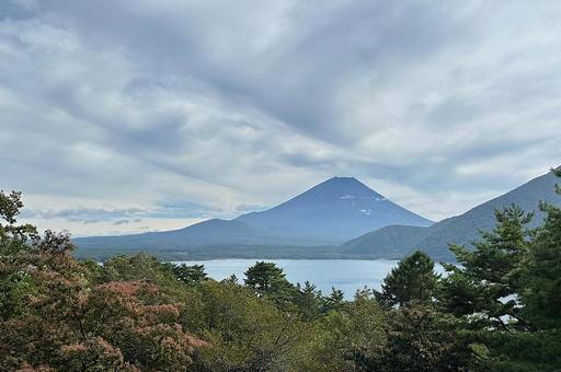 木々の間から望む富士山 富士山,本栖湖,自然の写真素材