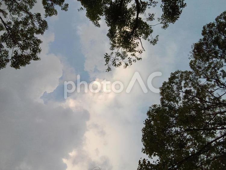 ７月の夕方の空 ７月,夕方,空の写真素材