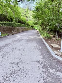綺麗な道 錦江山公園,中国,丹東の写真素材
