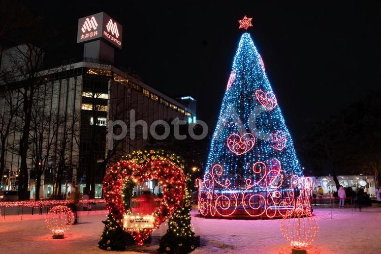 さっぽろホワイトイルミネーション 札幌市,クリスマスツリー,イルミネーションの写真素材