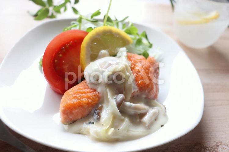 サーモンソテークリームソース 鮭,サーモン,魚の写真素材