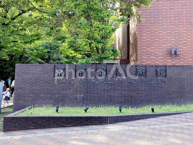 東京風景・上野公園 上野公園,上野恩賜公園,東京都美術館の写真素材