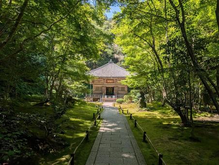 円通院 円通院の写真
