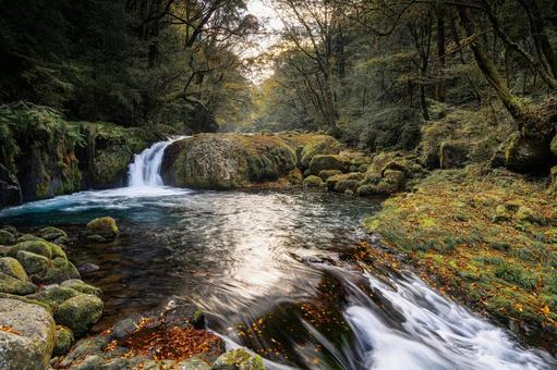 熊本-【菊池渓谷の紅葉】 熊本,菊池渓谷,川の写真素材