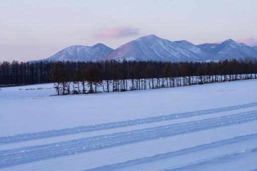 防風林と然別の山々 防風林と然別の山々の写真