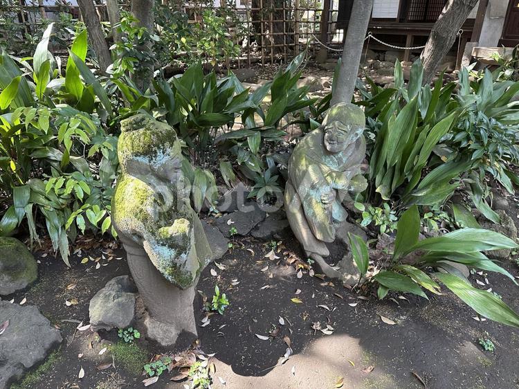 寒山拾得　中野区立歴史民俗資料館 岩,苔,コケの写真素材