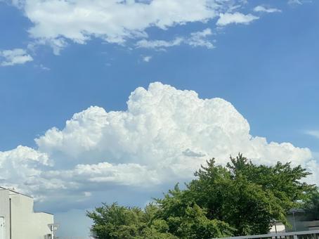 青空に浮かぶ真っ白い雲 青空に浮かぶ真っ白い雲 雲,青空,青の写真素材