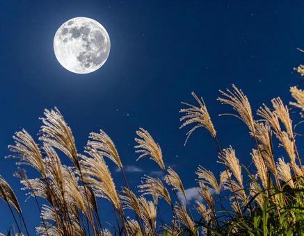 七夕の夜、ススキ越しに見上げる満月と星空 七夕の夜、ススキ越しに見上げる満月と星空の写真