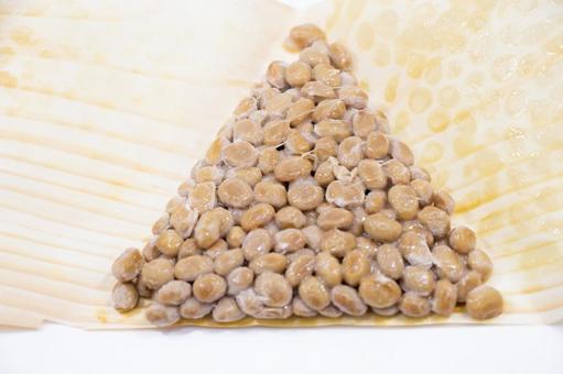 経木納豆 経木納豆,納豆,発酵食品の写真素材