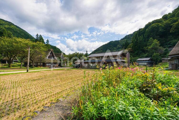世界遺産五箇山菅沼集落の合掌造り 富山,秋,秋色の写真素材