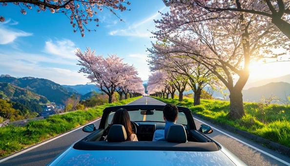 桜並木を走るオープンカー 桜並木を走るオープンカーの写真