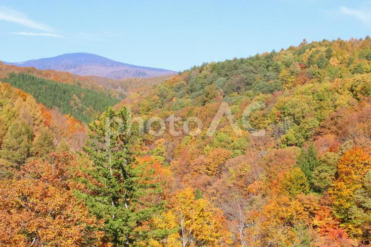 秋の紅葉の山の風景 屋外,山,景色の写真素材