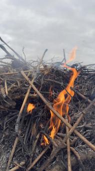 草むら野焼きの炎と煙 焼く,藁,枯れ草の写真素材