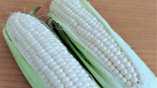 White corn 009, ভূট্টা, ভূট্টা, ভূট্টা, JPG