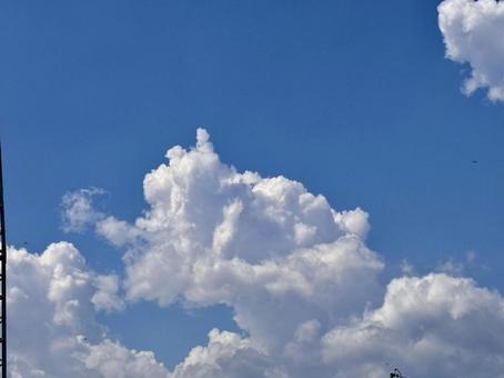 【風景写真】夏空 【風景写真】夏空の写真