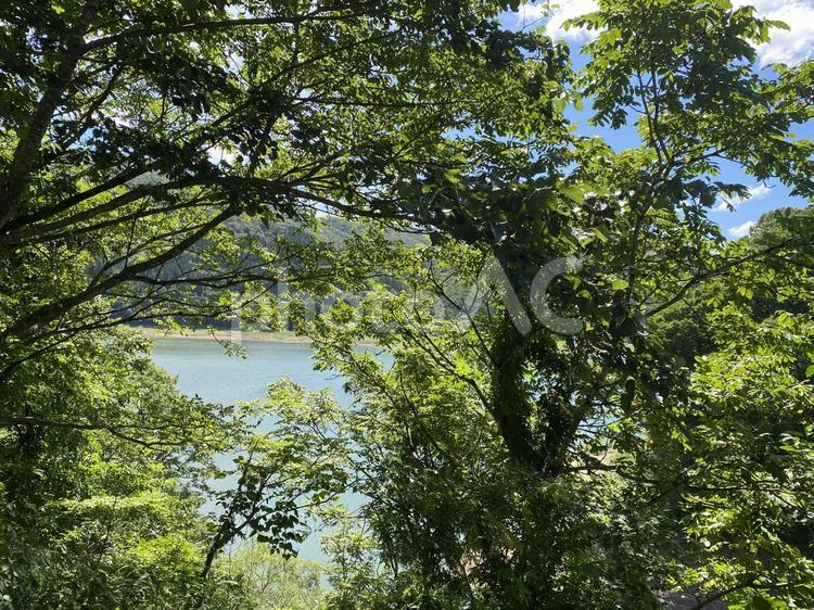 池と森林 山,山道,峠の写真素材