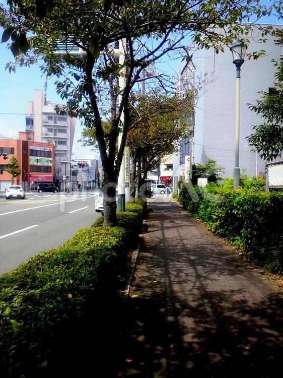 通りの風景　[横須賀市] 通り,風景,自然の写真素材