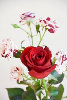 赤い薔薇の花束 赤い薔薇の花束の写真