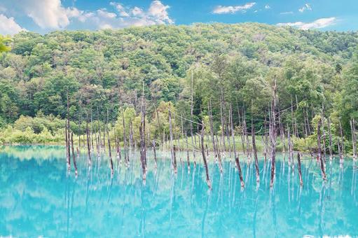 北海道美瑛 青い池 北海道美瑛 青い池 青い池,美瑛,風景の写真素材