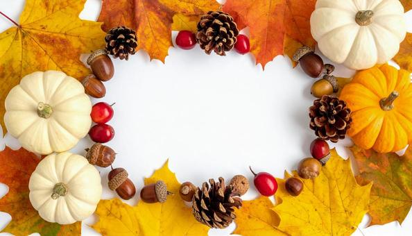 落ち葉と秋の実のフレーム 落ち葉と秋の実のフレームの写真