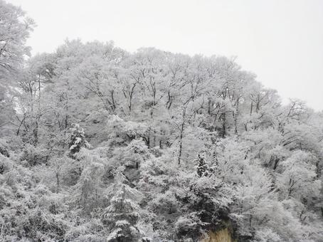 Photo, mountain, winter, dongshan, 