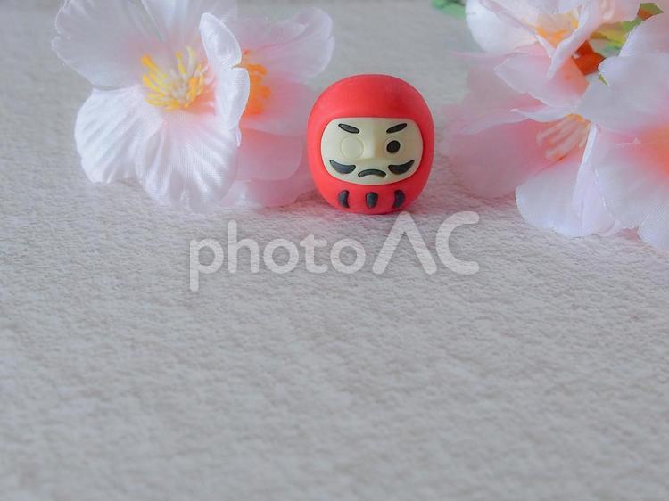 サクラサク　合格ダルマ ダルマ,合格,試験の写真素材