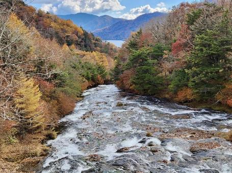 自然と川 自然と川 緑,自然,快晴の写真素材