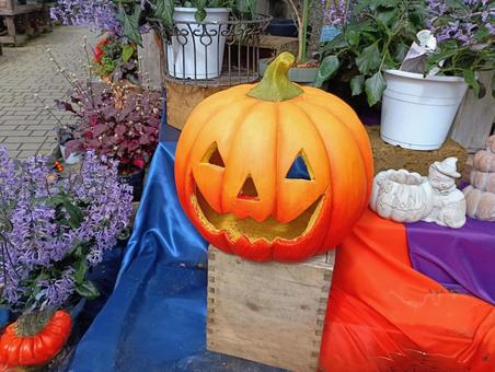 ジャック・オ・ランタン② ジャック・オ・ランタン② ハロウィン,ジャックランタン,パンプキンの写真素材