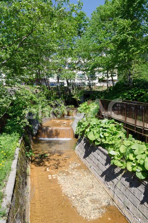 然別湖の川 然別湖,湖畔,川辺の写真素材