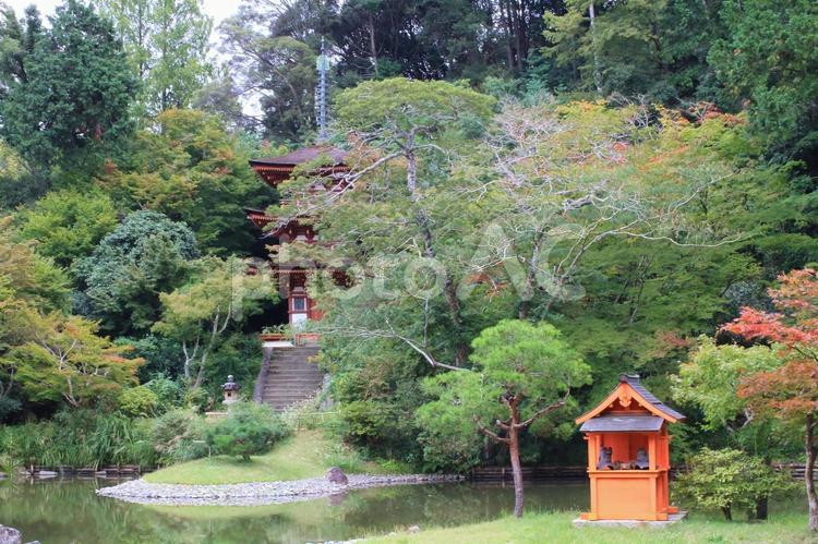 浄瑠璃寺　京都　木津 浄瑠璃寺,木津,木津川市の写真素材
