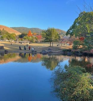奈良公園 奈良公園,紅葉,池の写真素材
