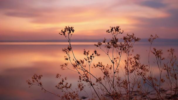 夢幻的な夕暮れの風景 夢幻的な夕暮れの風景の写真