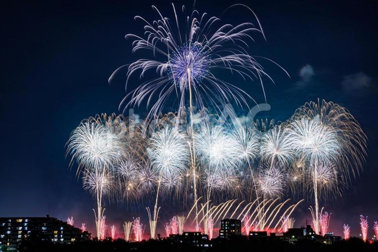夜空に広がるスターマインと光の矢の花火 花火,打ち上げ花火,花火大会の写真素材