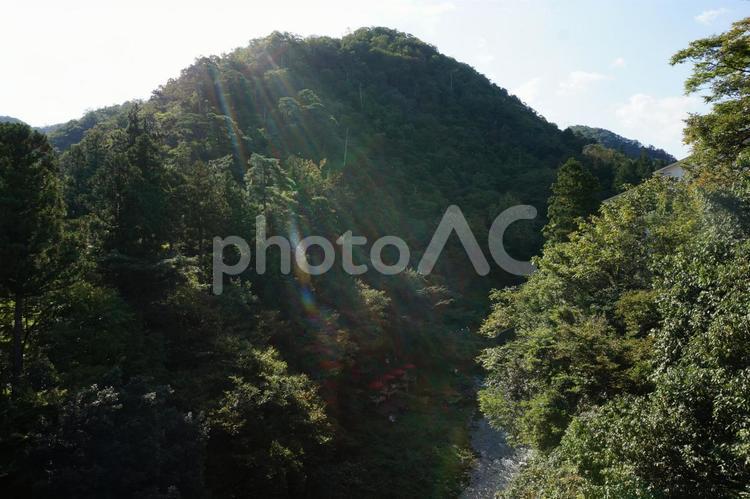 差し込む光 あり,丘,何人もありませんの写真素材