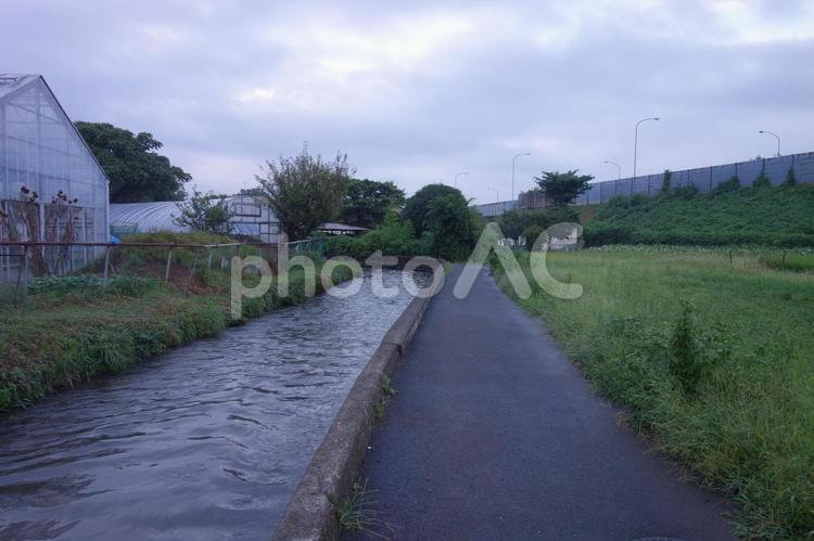 用水路の横の道 用水路,水路,インフラの写真素材