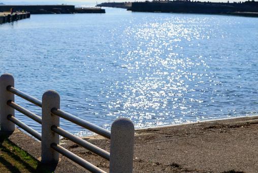 港 公園 海 港 公園 海の写真