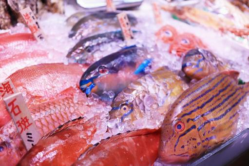 Photo, fish, market, fish market, 