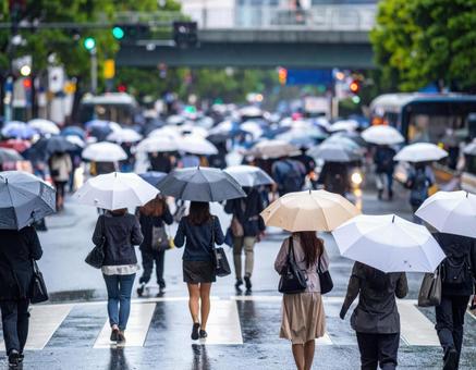 雨に濡れる都会の横断歩道シーン 雨に濡れる都会の横断歩道シーンの写真
