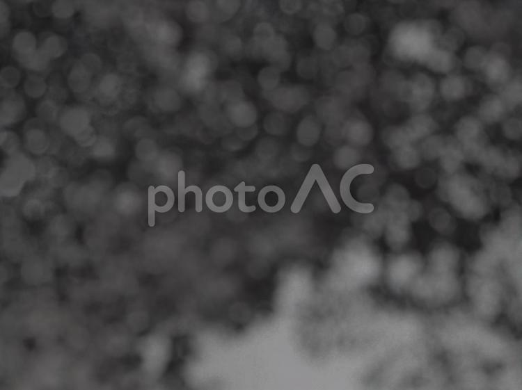 植物のぼかし画像5 玉ボケ,テクスチャ,光ボケの写真素材