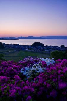 Azalea Hill at dusk, JPG