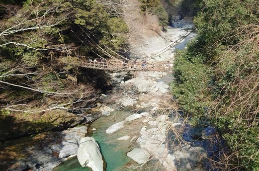 徳島祖谷 蔓橋 徳島祖谷 蔓橋の写真