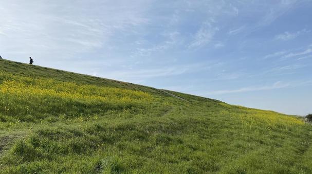 荒川土手の風景 荒川土手の風景 土手,緑,草の写真素材