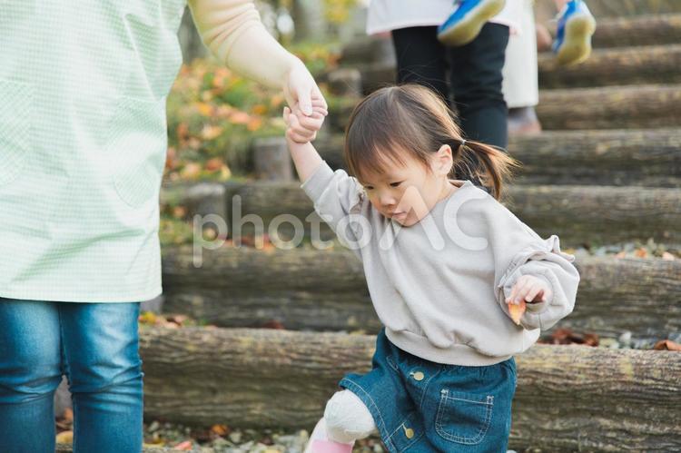 秋の公園の階段を降りる保育士の女性と園児 子供,階段,歩くの写真素材
