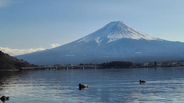 日暮れ時の富士山 富士山,河口湖,湖の写真素材