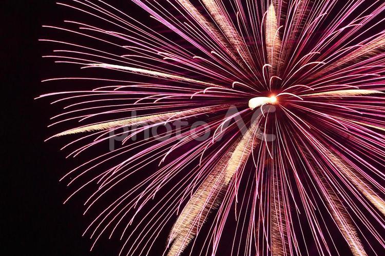 打ち上げ花火　夏の風物詩　#6 夏,花火,花火大会の写真素材