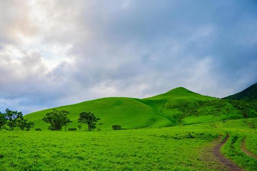 Summer in Mt. Yufu, Oita, mountain, yufu, grassland, JPG