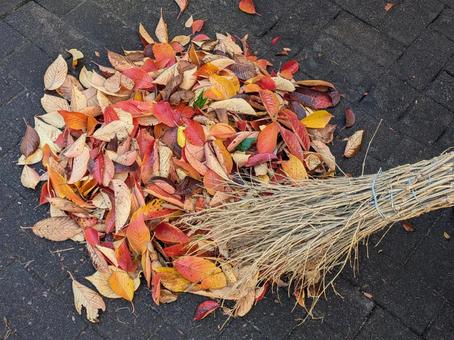 立冬過ぎの雨上がりの濡れ落ち葉と竹箒 落ち葉,初冬,晩秋の写真素材