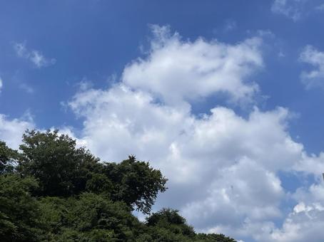 空の雲 空の雲の写真