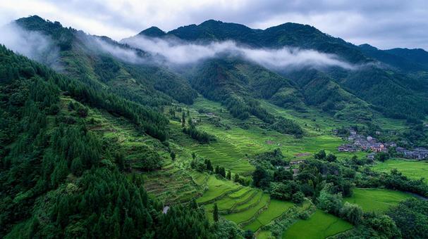 アジアの伝統的な棚田の絶景 アジアの伝統的な棚田の絶景の写真