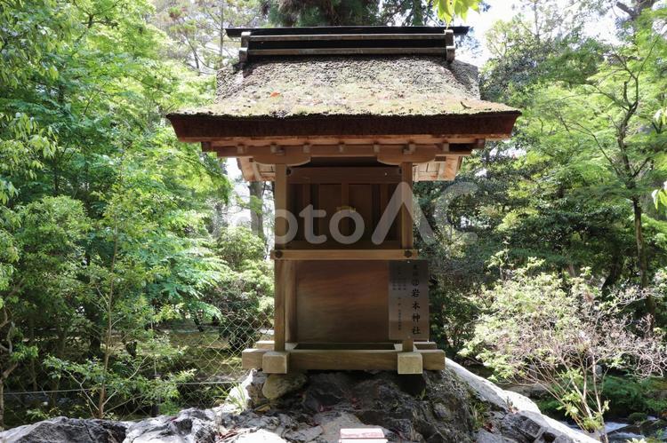 賀茂別雷神社（上賀茂神社）末社岩本神社 岩本神社,重要文化財,賀茂別雷神社の写真素材